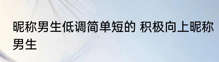 昵称男生低调简单短的 积极向上昵称男生