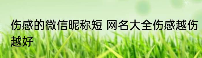 伤感的微信昵称短 网名大全伤感越伤越好