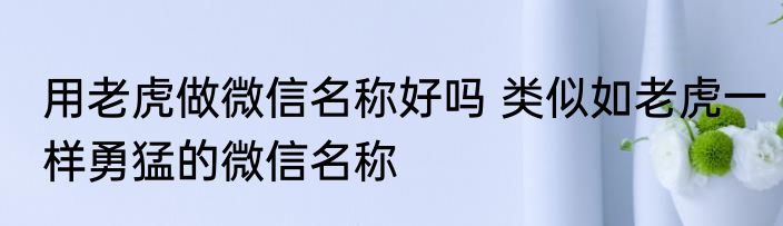 用老虎做微信名称好吗 类似如老虎一样勇猛的微信名称