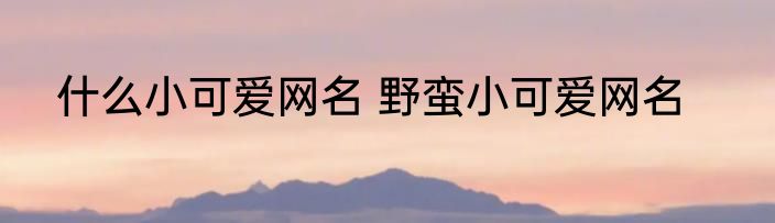 什么小可爱网名 野蛮小可爱网名