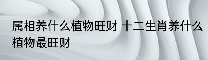 属相养什么植物旺财 十二生肖养什么植物最旺财