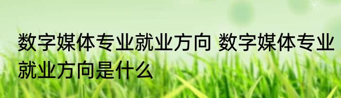 数字媒体专业就业方向 数字媒体专业就业方向是什么