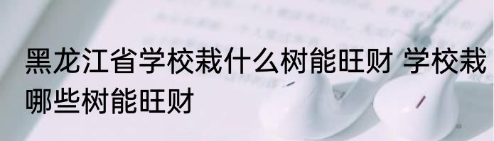 黑龙江省学校栽什么树能旺财 学校栽哪些树能旺财