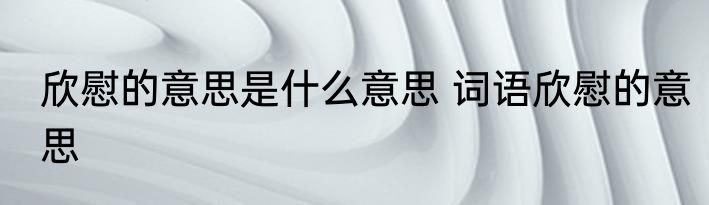 欣慰的意思是什么意思 词语欣慰的意思
