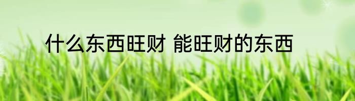 什么东西旺财 能旺财的东西