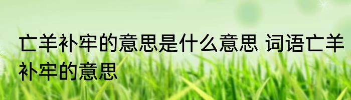 亡羊补牢的意思是什么意思 词语亡羊补牢的意思