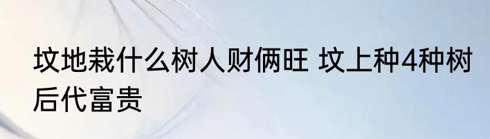 坟地栽什么树人财俩旺 坟上种4种树后代富贵