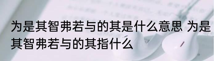 为是其智弗若与的其是什么意思 为是其智弗若与的其指什么