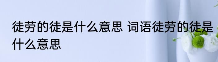 徒劳的徒是什么意思 词语徒劳的徒是什么意思