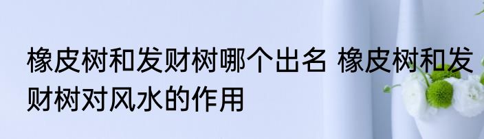 橡皮树和发财树哪个出名 橡皮树和发财树对风水的作用