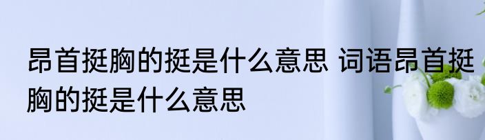 昂首挺胸的挺是什么意思 词语昂首挺胸的挺是什么意思