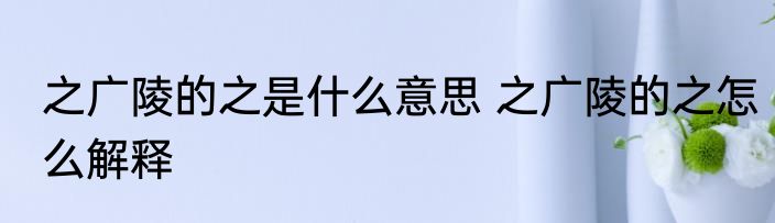 之广陵的之是什么意思 之广陵的之怎么解释
