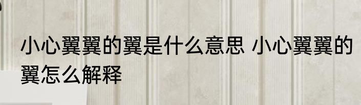 小心翼翼的翼是什么意思 小心翼翼的翼怎么解释