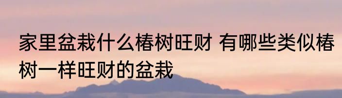 家里盆栽什么椿树旺财 有哪些类似椿树一样旺财的盆栽
