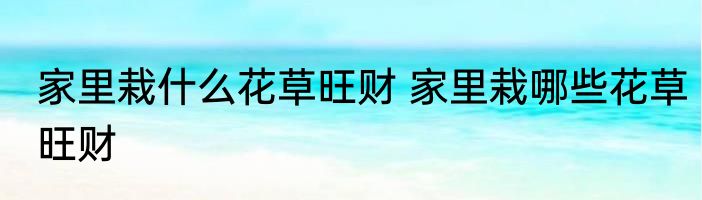 家里栽什么花草旺财 家里栽哪些花草旺财