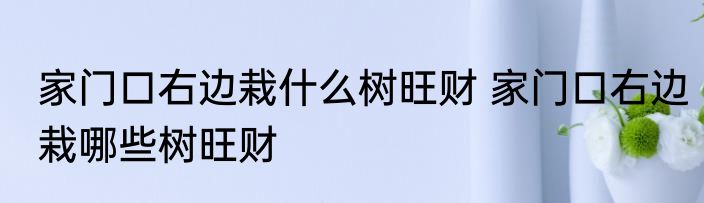家门口右边栽什么树旺财 家门口右边栽哪些树旺财