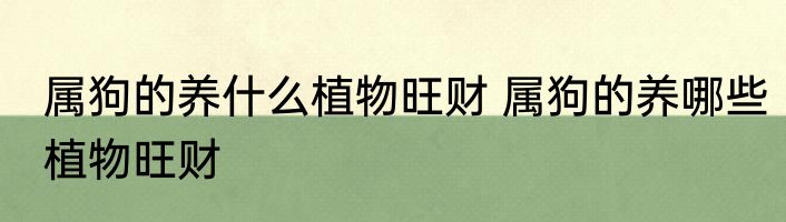 属狗的养什么植物旺财 属狗的养哪些植物旺财