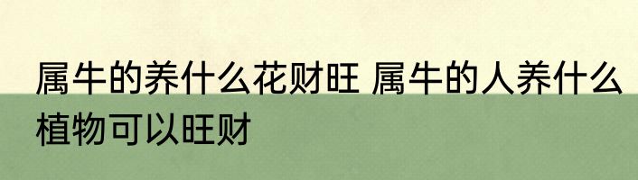 属牛的养什么花财旺 属牛的人养什么植物可以旺财