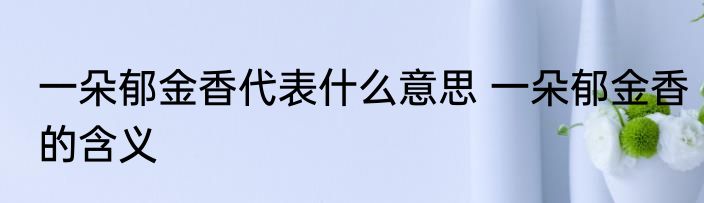 一朵郁金香代表什么意思 一朵郁金香的含义