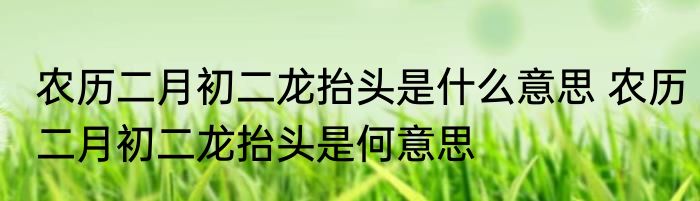 农历二月初二龙抬头是什么意思 农历二月初二龙抬头是何意思