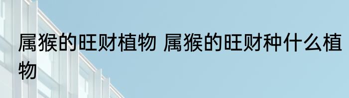 属猴的旺财植物 属猴的旺财种什么植物