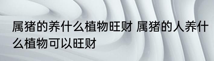 属猪的养什么植物旺财 属猪的人养什么植物可以旺财