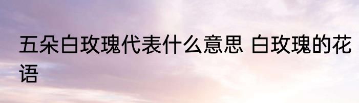 五朵白玫瑰代表什么意思 白玫瑰的花语