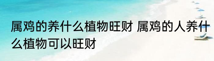 属鸡的养什么植物旺财 属鸡的人养什么植物可以旺财