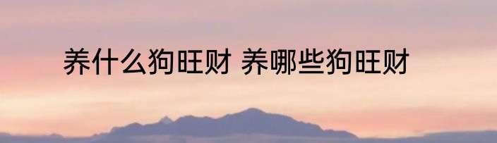 养什么狗旺财 养哪些狗旺财