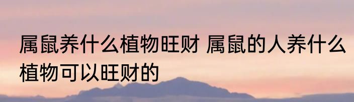 属鼠养什么植物旺财 属鼠的人养什么植物可以旺财的