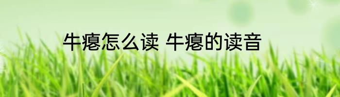 牛瘪怎么读 牛瘪的读音