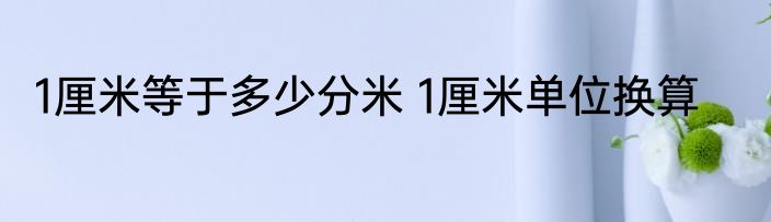 1厘米等于多少分米 1厘米单位换算