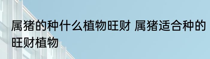 属猪的种什么植物旺财 属猪适合种的旺财植物