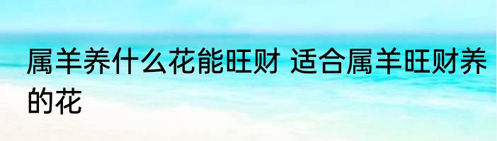 属羊养什么花能旺财 适合属羊旺财养的花