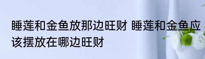 睡莲和金鱼放那边旺财 睡莲和金鱼应该摆放在哪边旺财