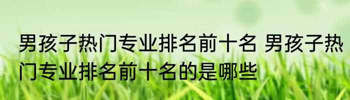 男孩子热门专业排名前十名 男孩子热门专业排名前十名的是哪些
