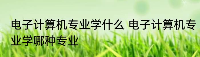 电子计算机专业学什么 电子计算机专业学哪种专业