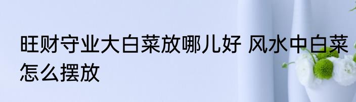 旺财守业大白菜放哪儿好 风水中白菜怎么摆放