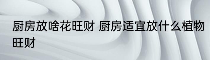 厨房放啥花旺财 厨房适宜放什么植物旺财