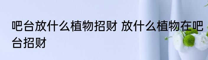 吧台放什么植物招财 放什么植物在吧台招财