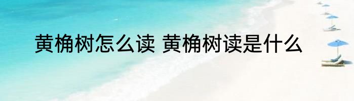 黄桷树怎么读 黄桷树读是什么