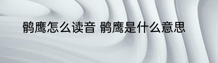 鹘鹰怎么读音 鹘鹰是什么意思