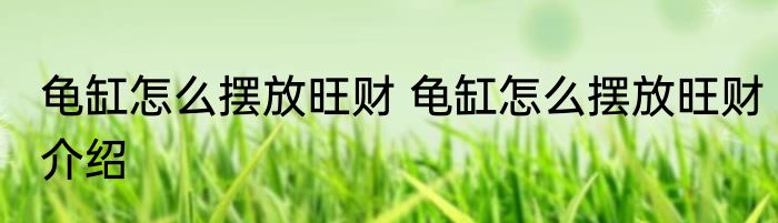 龟缸怎么摆放旺财 龟缸怎么摆放旺财介绍