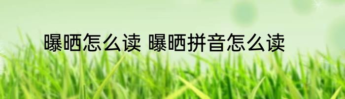 曝晒怎么读 曝晒拼音怎么读