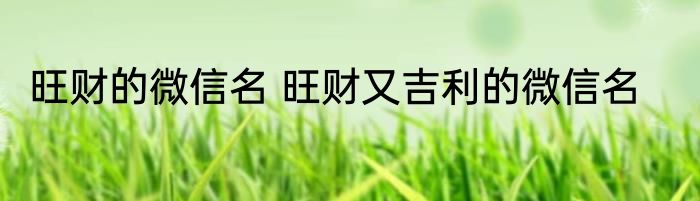 旺财的微信名 旺财又吉利的微信名