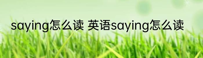 saying怎么读 英语saying怎么读