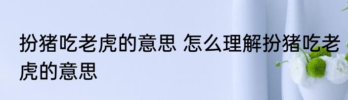 扮猪吃老虎的意思 怎么理解扮猪吃老虎的意思