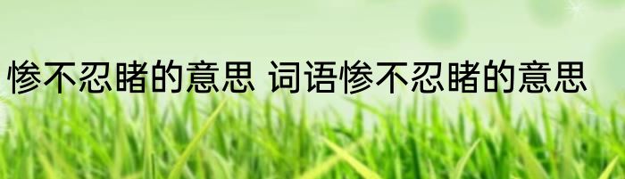 惨不忍睹的意思 词语惨不忍睹的意思