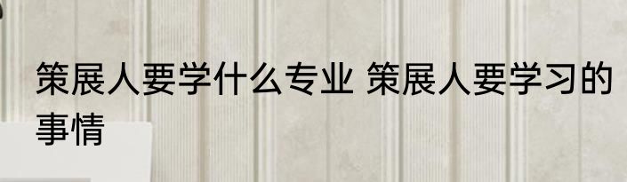 策展人要学什么专业 策展人要学习的事情