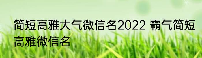 简短高雅大气微信名2022 霸气简短高雅微信名